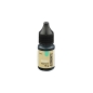 Preview: Grün (Green) 10g - Jesmonite Liquid Pigmentfarbe